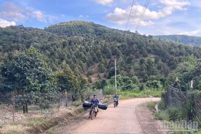 Lâm Đồng làm rõ số liệu diện tích rừng tự nhiên bị giảm hơn 17.700ha.