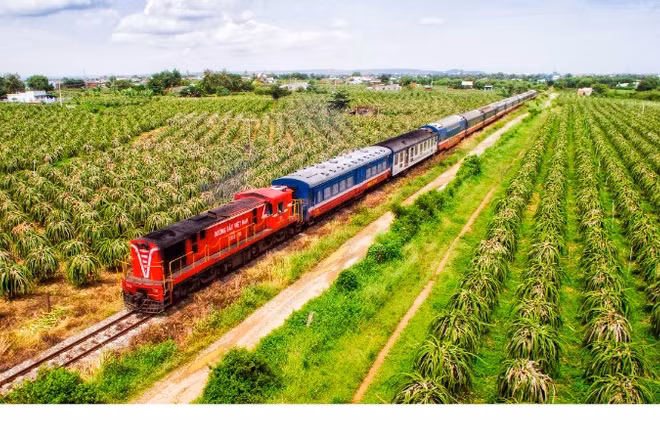 Phát triển các tour đường bộ đến Lâm Đồng.