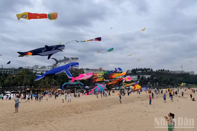 Những cánh diều bay lên bầu trời trên bãi biển đã thu hút nhiều du khách đến vui chơi.