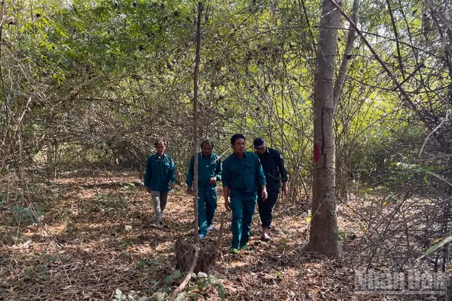 Lực lượng bảo vệ rừng đi tuần tra.