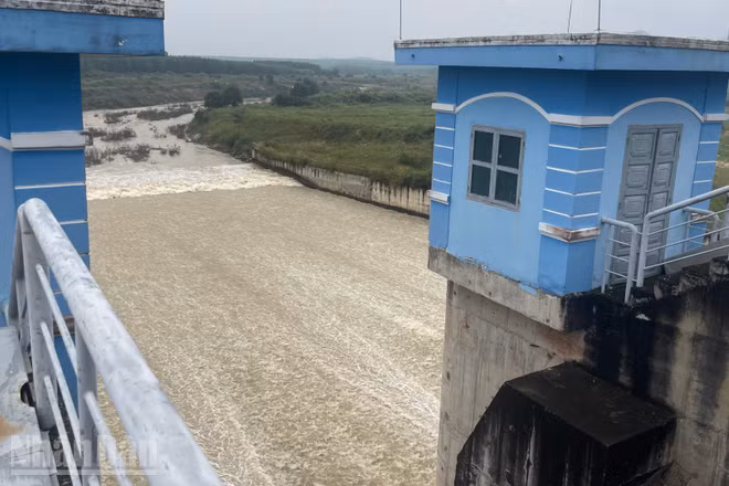 Hồ sông Dinh 3 (xã Tân Hải) đang xả lũ.