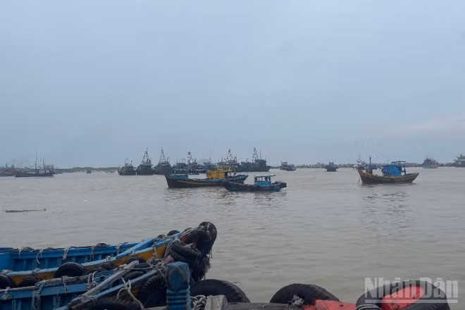 Nhiều tàu cá vào cảng cá La Gi.
