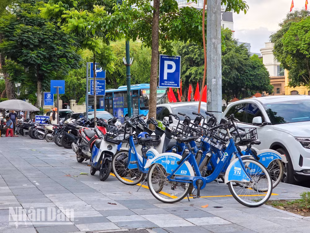 phat-thai-thap-minh-duy-4.jpg