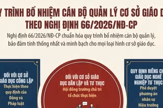[Infographic] Thủ tục, quy trình bổ nhiệm cán bộ quản lý cơ sở giáo dục