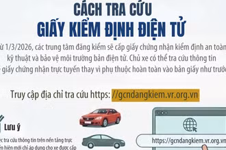 [Infographic] Cách tra cứu giấy chứng nhận kiểm định điện tử