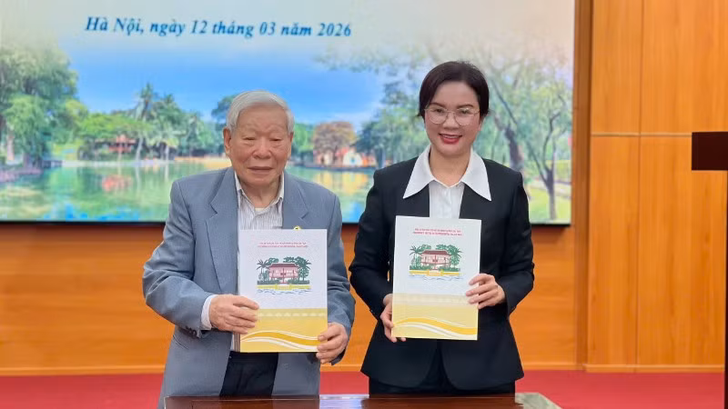 trinh-hai-7736.jpg