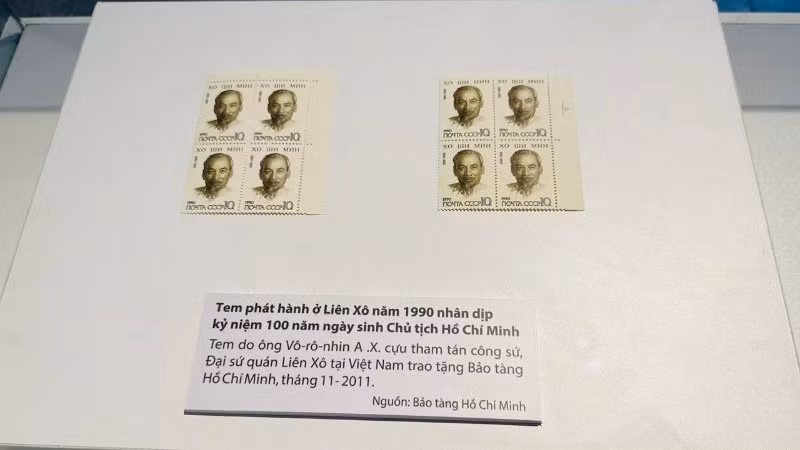 tem-3537.jpg