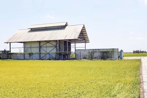 Dự án kho lạnh thông minh đạt tiêu chuẩn châu Âu tại xã Bình Phú đã khánh thành hơn 4 năm vẫn chưa đưa vào khai thác sử dụng.