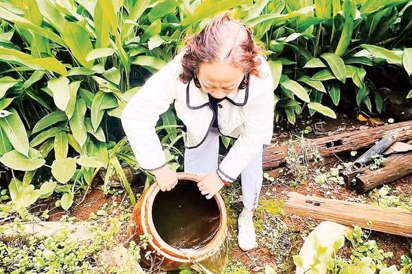 Người dân phường Tân An xử lý lu chứa nước để diệt lăng quăng, bọ gậy phòng, chống sốt xuất huyết.