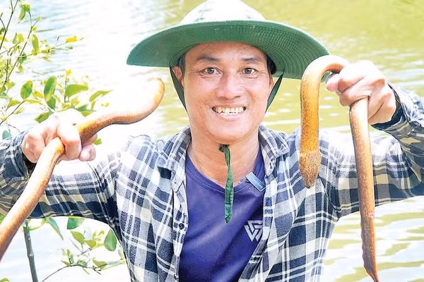 Nụ cười rạng rỡ của nông dân Nguyễn Văn Danh, ngụ ấp Tân Quảng (xã Cái Đôi Vàm, tỉnh Cà Mau) khi thu hoạch được những con "lịch cụ" to tròn, vàng óng.