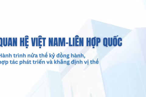 [Infographic] Hành trình nửa thế kỷ đồng hành, hợp tác phát triển và khẳng định vị thế
