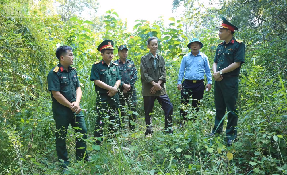 ndo_tl_12-ptt-6785.jpg