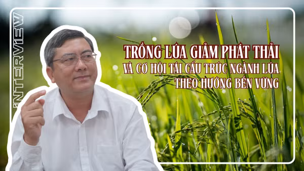 Trồng lúa giảm phát thải và cơ hội tái cấu trúc ngành lúa theo hướng bền vững