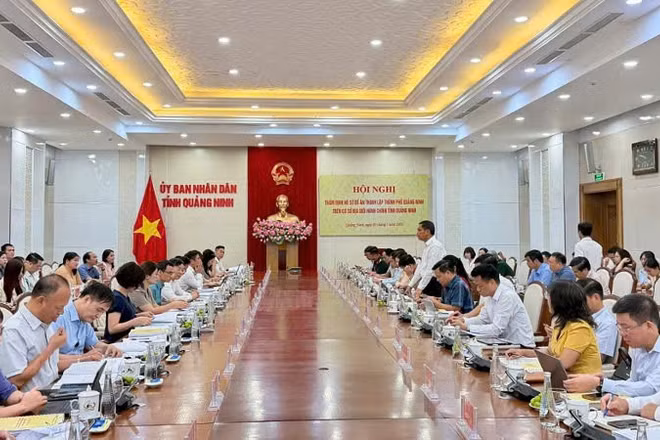 Quang cảnh buổi làm việc.