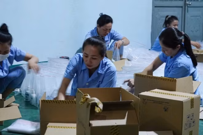 Hàng nghìn túi thuốc được vận chuyển đến Thái Nguyên và Cao Bằng phục vụ công tác khử khuẩn và phòng dịch.