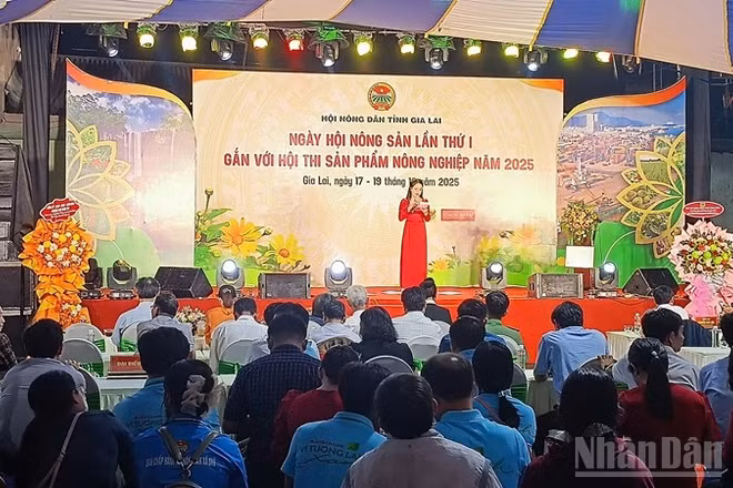 Toàn cảnh Ngày hội Nông sản tỉnh Gia Lai lần thứ I tại Quảng trường Đại Đoàn Kết, phường Pleiku.