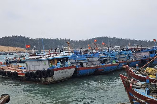 Tàu về neo đậu tại khu vực tránh trú bão ở đặc khu Cô Tô.