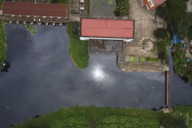 Sông Cầu Bây, một nhánh sông thuộc hệ thống thuỷ lợi Bắc Hưng Hải bị ô nhiễm nghiêm trọng. Ảnh: Chí Anh