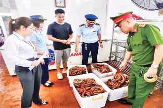 Lực lượng liên ngành kiểm tra hộ kinh doanh Trần Đức Lương ở phường Hà Phong, thành phố Hạ Long vi phạm bán thực phẩm đông lạnh không có nguồn gốc, xuất xứ.