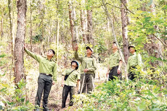 Lực lượng kiểm lâm Vĩnh Phúc tuần tra rừng.