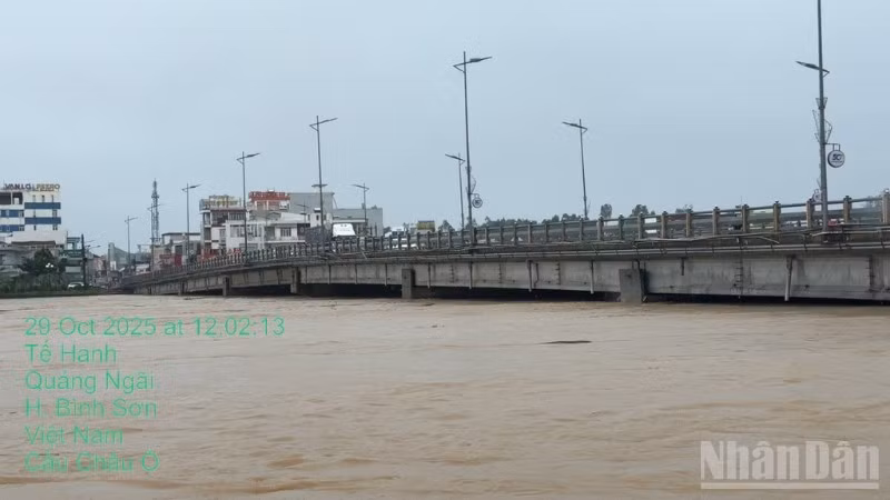 Nước lũ dâng cao đe dọa cầu Châu Ổ nằm trên địa phận tỉnh Quảng Ngãi.