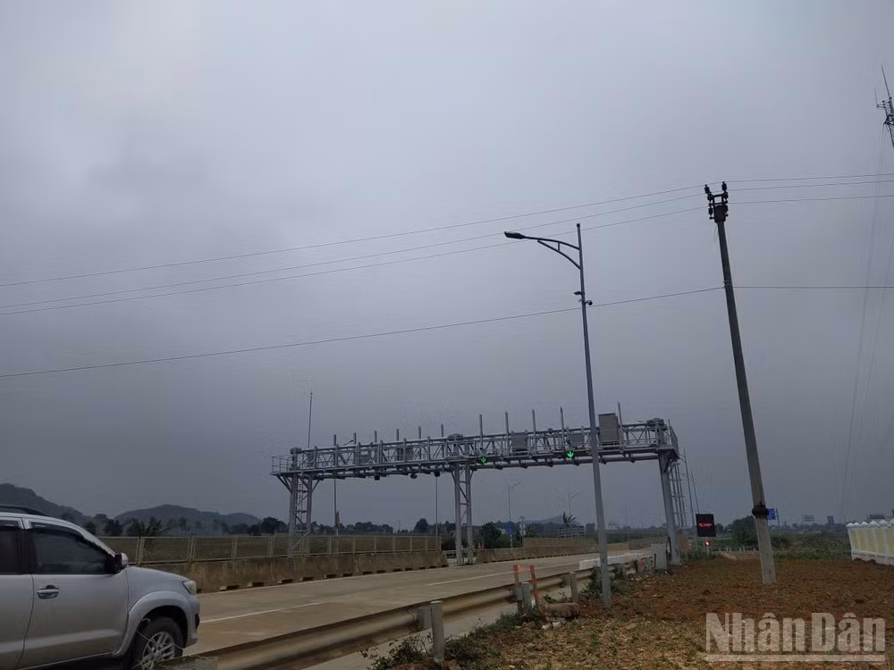 ndo_br_2410565034417610155.jpg
