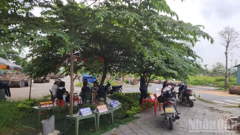 Bàn tư vấn cùng nhiều cò nhà đất xuất hiện tại khu đất dự án tái định cư xã Thư Lâm (Hà Nội).
