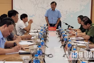 Thứ trưởng Bộ Nông nghiệp và Môi trường Nguyễn Hoàng Hiệp chỉ đạo tại cuộc họp chiều 11/6.
