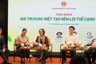Diễn đàn “Giải pháp tăng sức cạnh tranh, thúc đẩy xuất khẩu chanh leo, chuối, dứa, dừa” do Bộ Nông nghiệp và Môi trường tổ chức sáng 18/7.