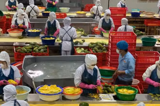 Sáu tháng đầu năm 2025, kim ngạch xuất khẩu nông, lâm, thủy sản đạt 33,84 tỷ USD, tăng 15,5% so với cùng kỳ năm 2024.