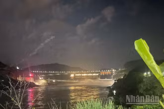 Bộ Nông nghiệp và Môi trường đề nghị các tỉnh, thành phố bảo đảm an toàn hạ du trong quá trình vận hành hồ thủy điện Hòa Bình.