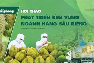 Hội thảo “Phát triển bền vững ngành hàng sầu riêng” do Báo Tiền Phong tổ chức ngày 10/6 theo hình thức trực tiếp và trực tuyến.