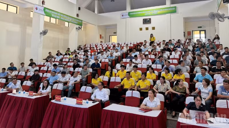 Các đại biểu dự hội nghị.