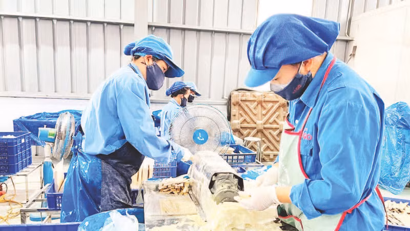 Hoạt động sản xuất tại Công ty TNHH Kẻ Gỗ trong Khu công nghiệp Thanh Bình.