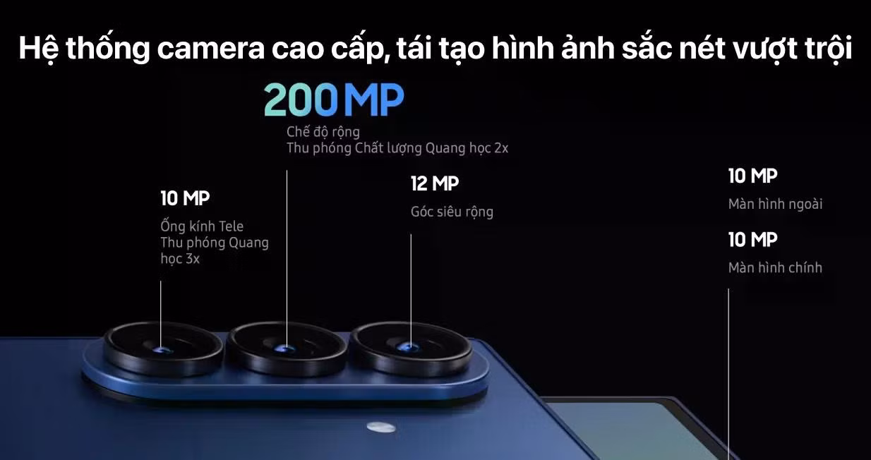 zf7.jpg