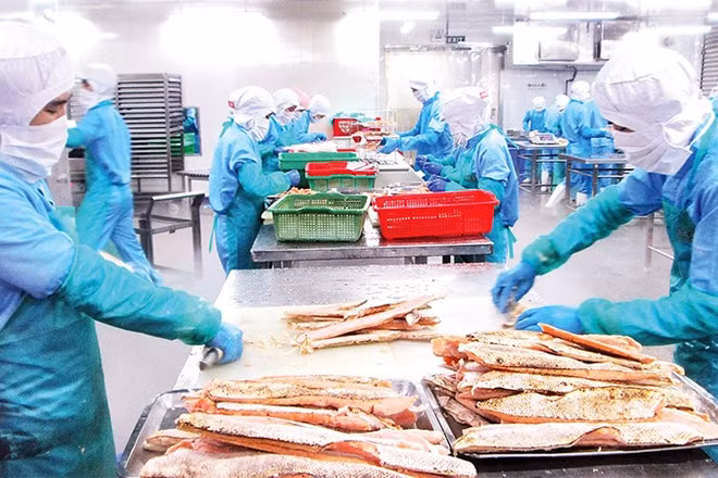 Thủy sản chế biến là mặt hàng xuất khẩu chủ lực đóng góp rất lớn cho tổng kim ngạch xuất khẩu của cả nước.
