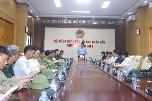 Lãnh đạo tỉnh Quảng Ninh trực tiếp kiểm tra và chỉ đạo công tác phòng, chống bão số 1 tại phường Móng Cái 1.