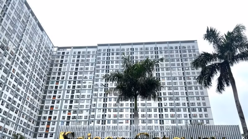 11712187989268208158-6059.jpg