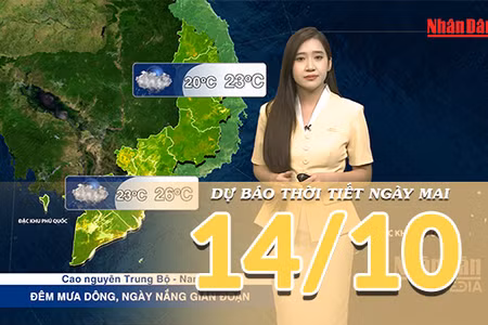 [Video] Dự báo thời tiết đêm nay và ngày mai 14/10/2026: Bắc Bộ ngày mai hửng nắng, Trung Bộ còn mưa lớn cục bộ, 