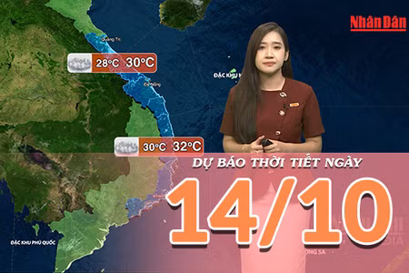 [Video] Dự báo thời tiết ngày 14/10/2026: Bắc Bộ có nắng, Trung Bộ mưa giảm, Nam Bộ chiều tối có dông 