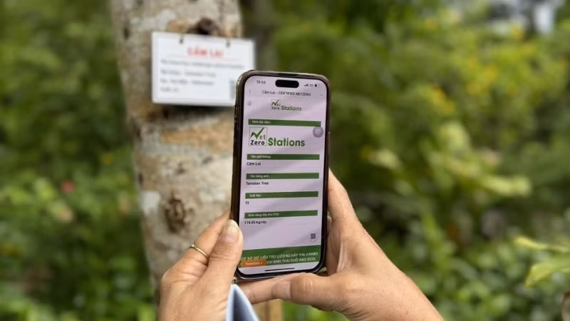 Khách du lịch tìm hiểu về những loài cây có lưu trữ carbon thông qua mã QR. (Ảnh: TTXVN)