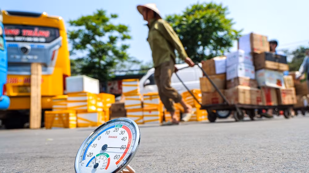 (Ảnh: THÀNH ĐẠT)