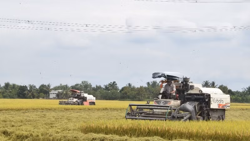 Ứng dụng cơ giới hóa vào thu hoạch lúa tại tỉnh Đồng Tháp. (Ảnh: NGUYỄN SỰ)