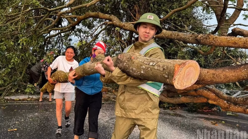 Nhân dân phường Cầu Thia cùng nhau dọn dẹp cây đổ sau dông, lốc. (Ảnh: THANH SƠN)