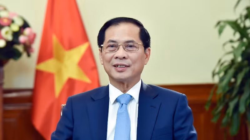 Phó Thủ tướng, Bộ trưởng Ngoại giao Bùi Thanh Sơn. (Ảnh: Bộ Ngoại giao)