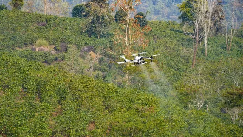 UAV được thử nghiệm phun thuốc cho cây cà-phê tại xã Mường Ảng, tỉnh Điện Biên.
