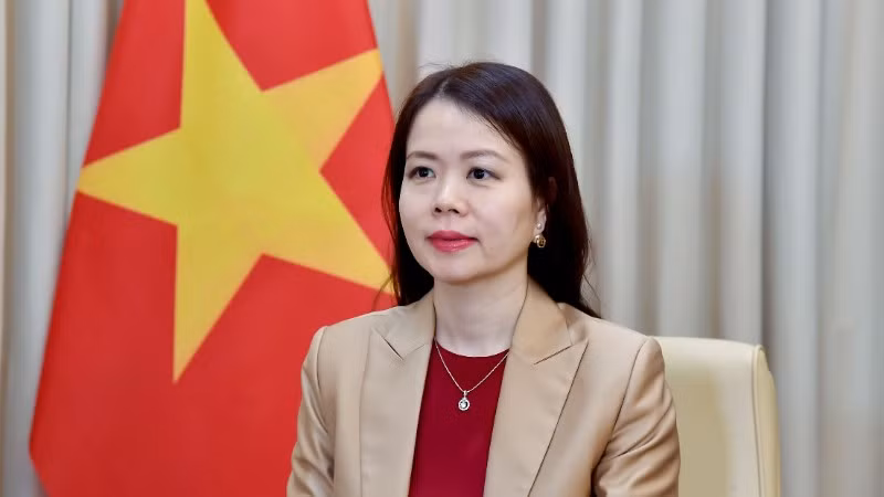 Thứ trưởng Ngoại giao Nguyễn Minh Hằng. (Ảnh: Bộ Ngoại giao)