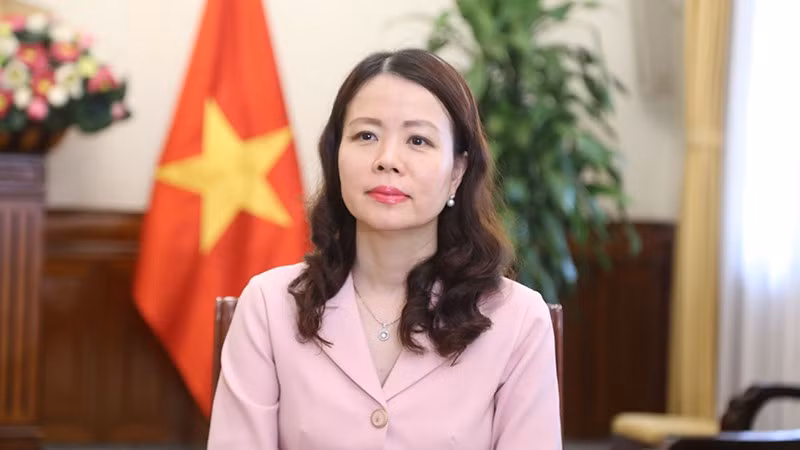 Thứ trưởng Ngoại giao Nguyễn Minh Hằng. (Ảnh: Bộ Ngoại giao Việt Nam)