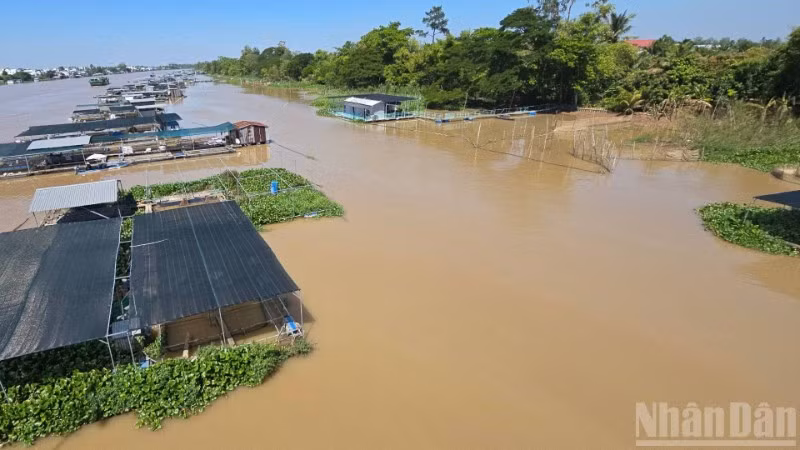 Một góc sông nước xã Cù Lao Giêng.