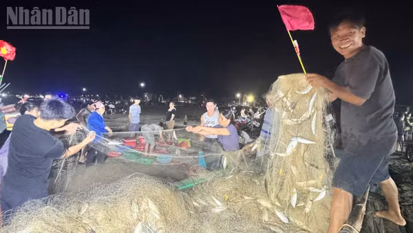 Theo chia sẻ của các ngư dân, nhờ trúng luồng cá nên chỉ sau 5 giờ đi biển, bình quân mỗi thuyền thu về gần 2 tạ cá bạc má. 